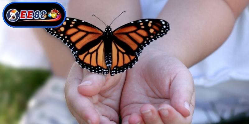 Dự báo điềm lành dữ qua giấc chiêm bao