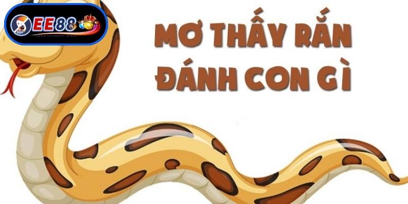 Giải mã thông điệp tâm linh khi ngủ mơ thấy rắn
