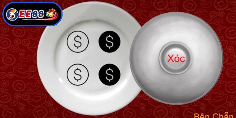 Hiểu rõ nền tảng giúp nâng cao khả năng dự đoán