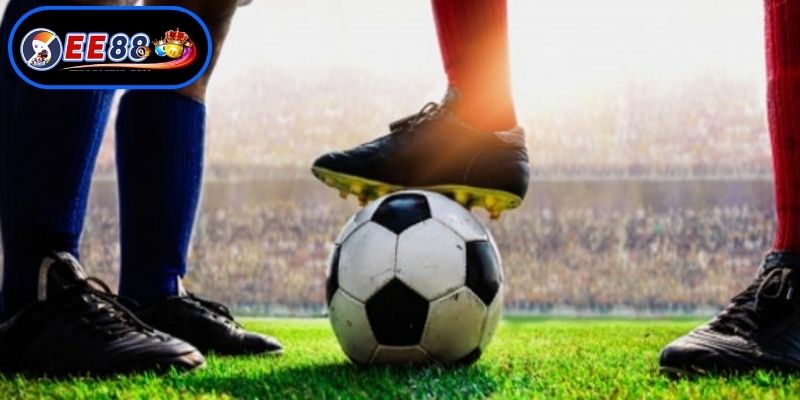 Nắm bắt cơ chế vận hành hệ thống đặt cược trực tiếp