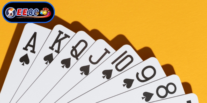 Nắm bắt hệ thống luật chơi xì dách cốt lõi