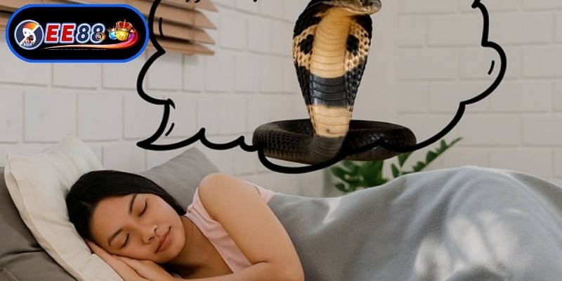 Ngủ mơ thấy rắn
