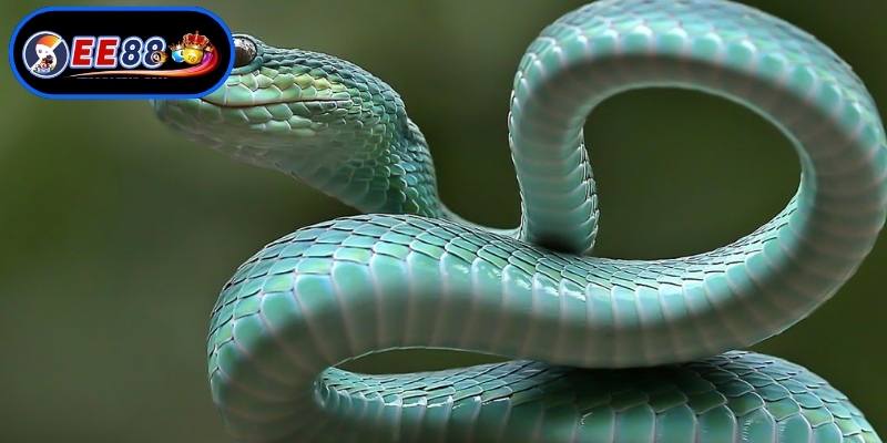 Nhận diện điềm báo qua các trường hợp mộng mị