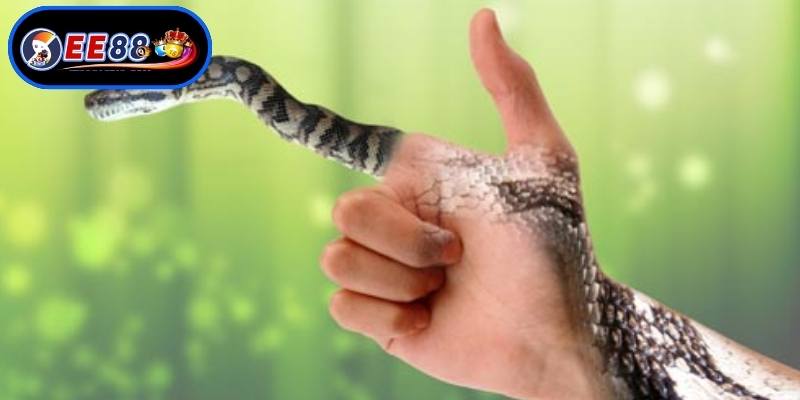 Những con số vượng tài liên quan giấc mộng