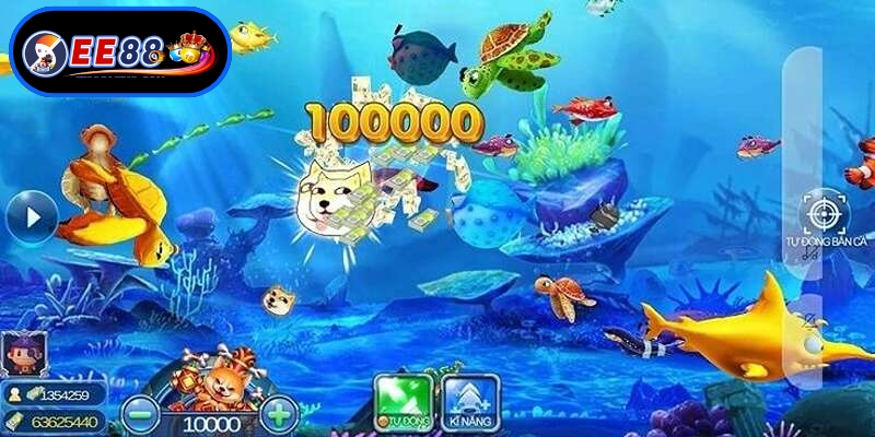 Những nguyên tắc lựa chọn trang bị săn cá thông minh