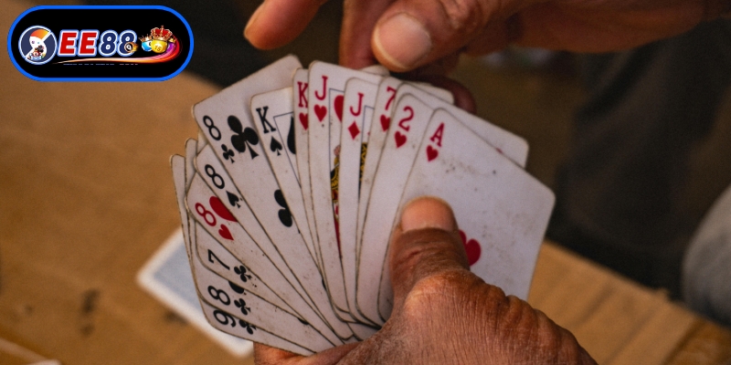 Phương pháp đặt cược mang lại hiệu quả cao nhất