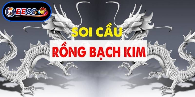 Thực hiện soi cầu rồng bạch kim chuẩn xác