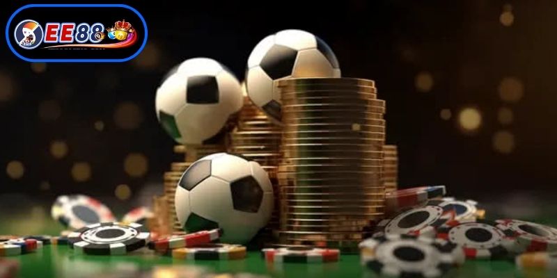 Tìm hiểu các loại hình cá cược thể thao online đa dạng nhất