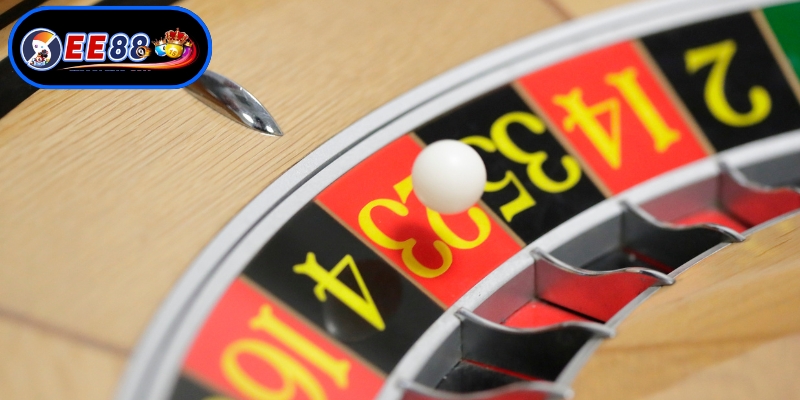 Tìm hiểu kỹ hướng dẫn EE88 chi tiết