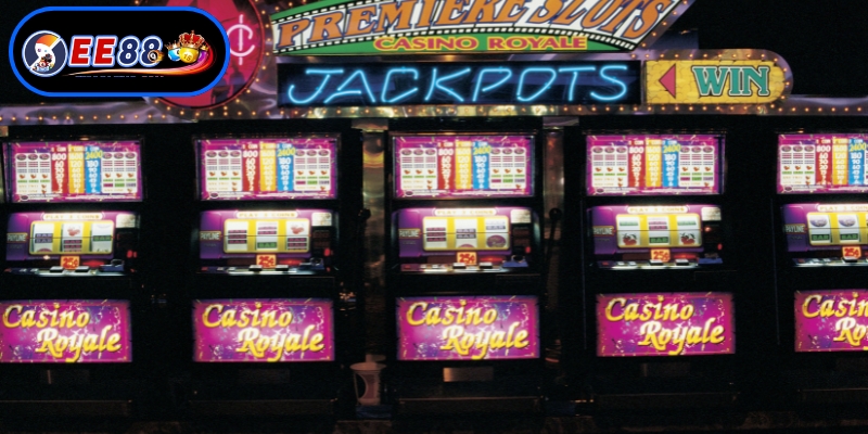 Tuân thủ quy tắc để trải nghiệm trọn vẹn